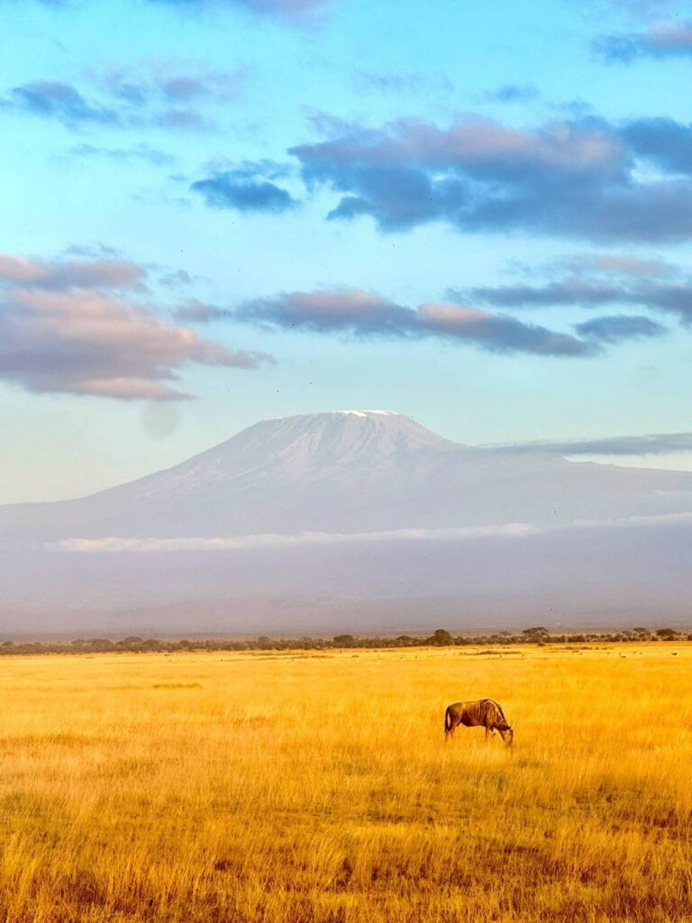 Experience the perfect combination of Kenya wildlife safari and tropical beach relaxation